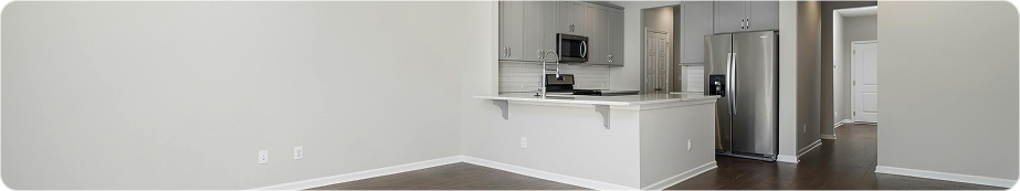Move-in/Move-out Cleaning